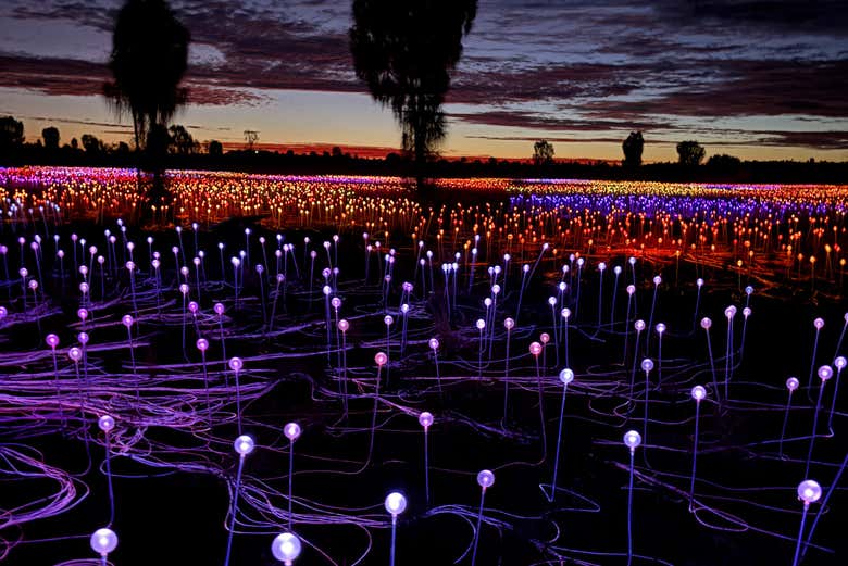 Las esferas de luz de Field of Light