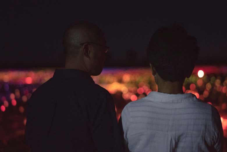 Contemplando la obra de Bruce Munro Field of Light