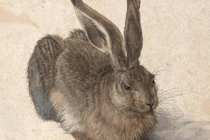 "La liebre" de Albrecht Dürer