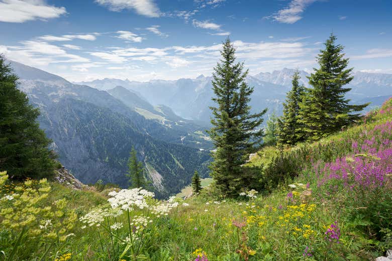 Le Alpi bavaresi