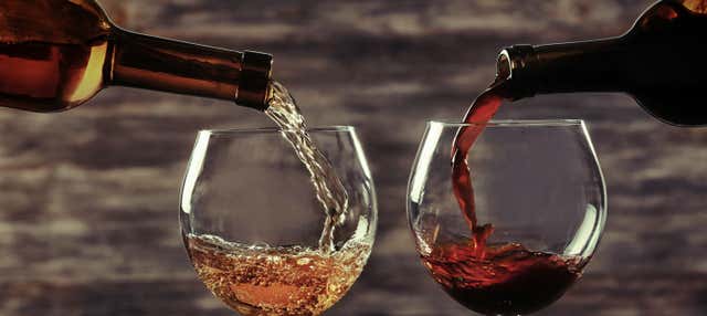 Degustazione di vino a Vienna