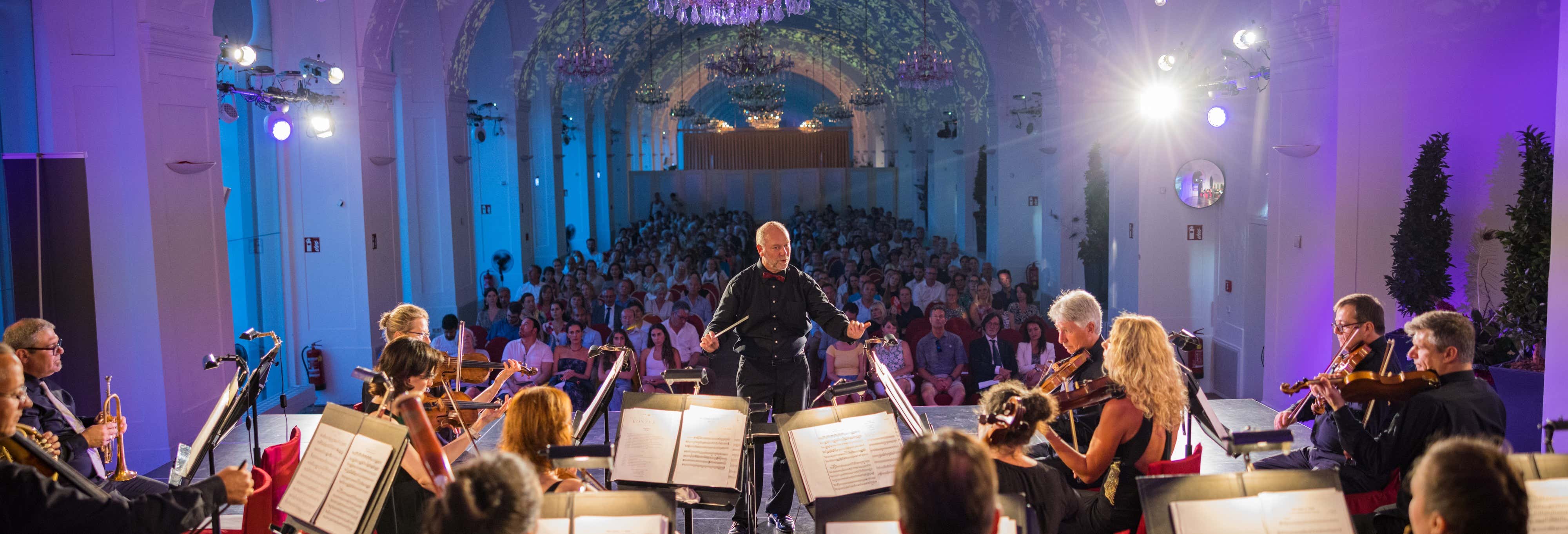 Concerti di musica classica a Vienna