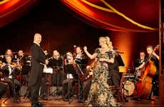 Concierto de Strauss con cena en el Prater