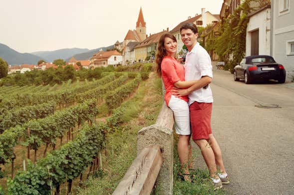 Excursión por los valles del Danubio y Wachau