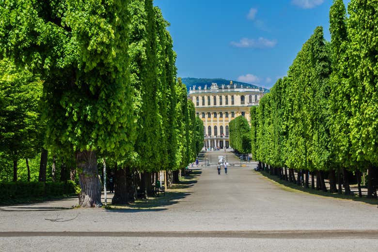 Allée du château de Schönbrunn