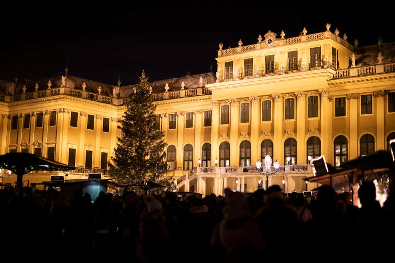 Você vai adorar ver o Palácio de Schönbrunn iluminado