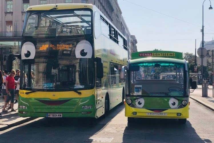 Gli autobus previsti dall'attività