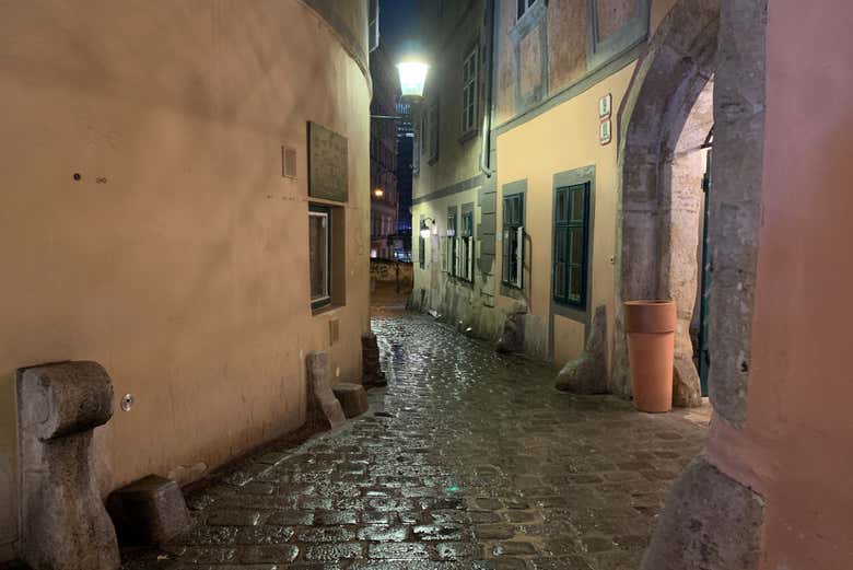Misterios en las calles de Viena
