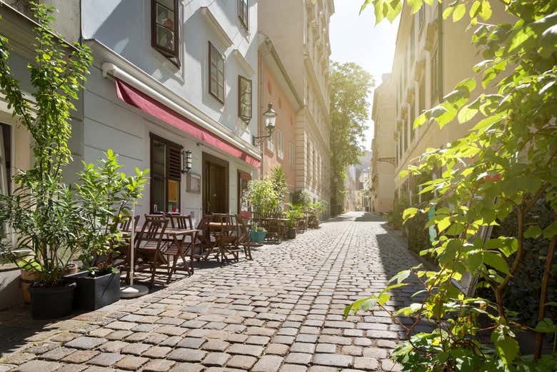 Calles del barrio de Spittelberg