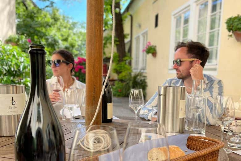 Immerse yourself in local wine culture