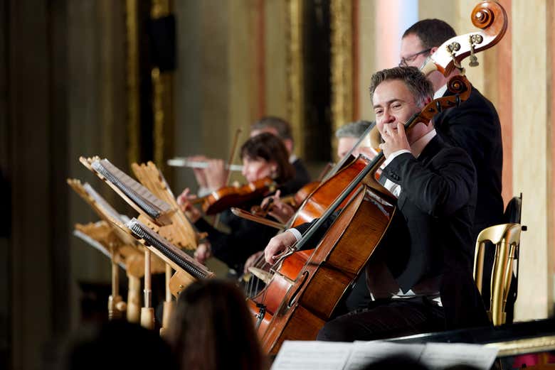 El violonchelista en acción