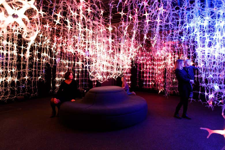 Un lugar perfecto para conocer en familia