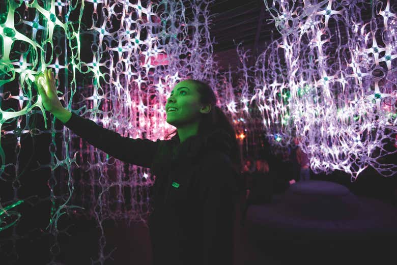 Será una experiencia sensorial inolvidable