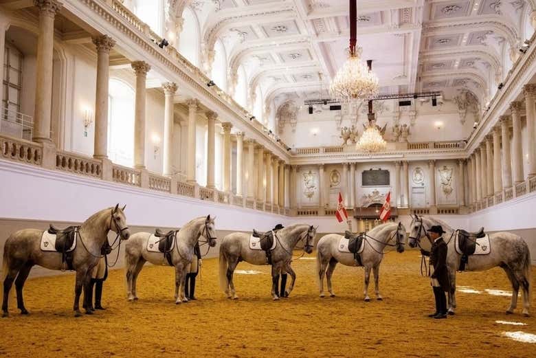 Podréis ver el corazón de esta tradición en Viena