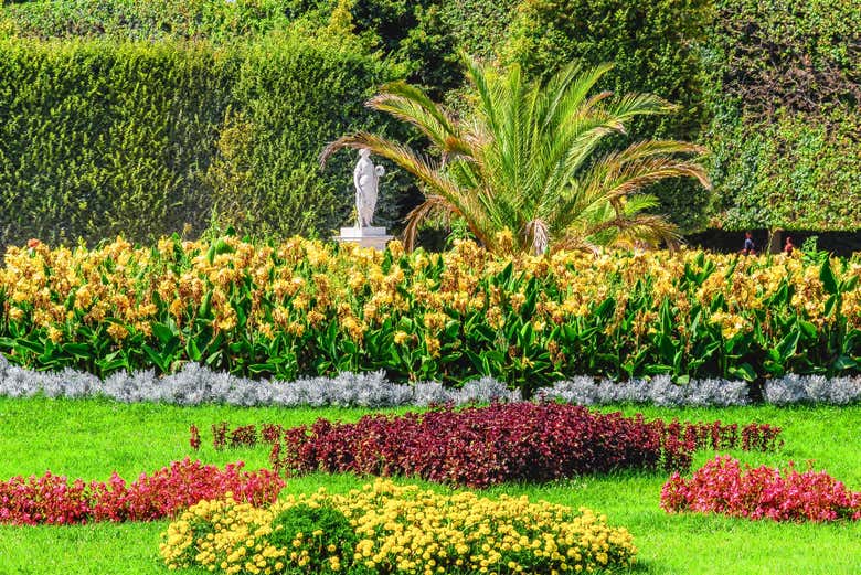 Fleurs des jardins du château de Schönbrunn