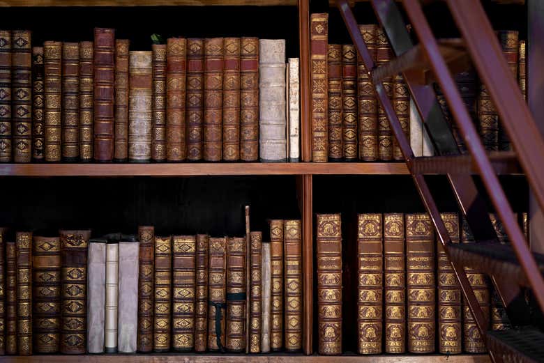 Veréis la impresionante colección de libros