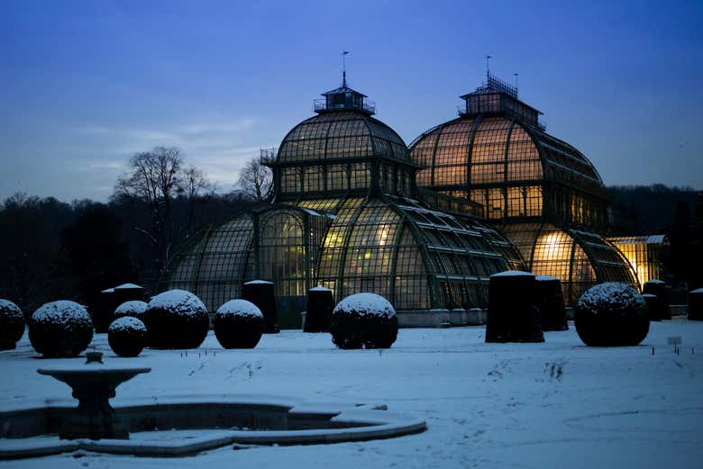 O trem irá levá-lo pelos jardins do Palácio de Schönbrunn