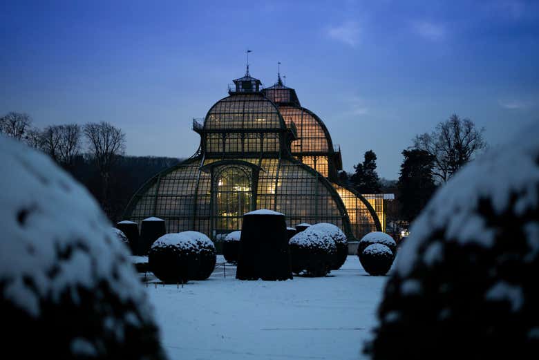 Grande Casa das Palmeiras de Schönbrunn