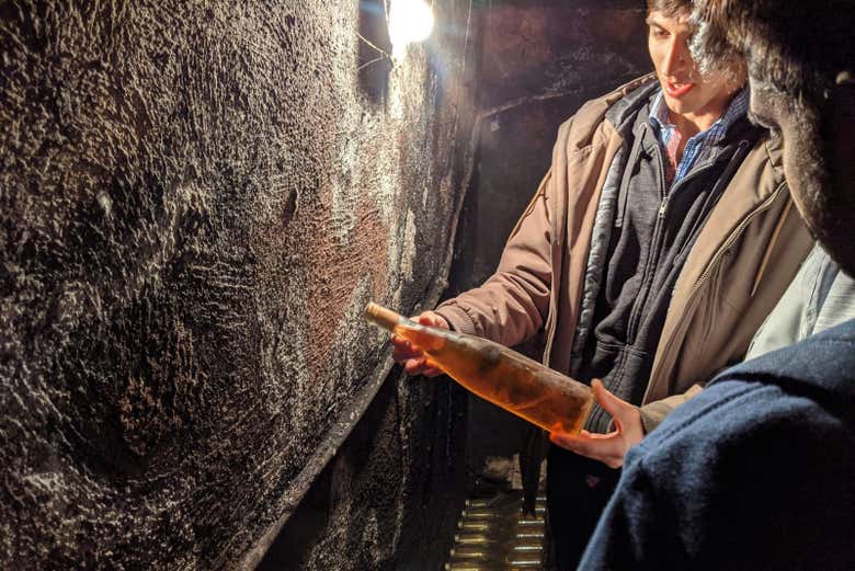 Learn local wine secrets