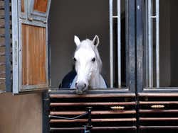 Spanish Riding School