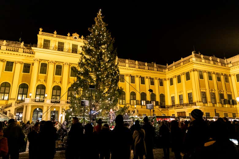 Árvore de Natal em frente ao Palácio de Schönbrunn