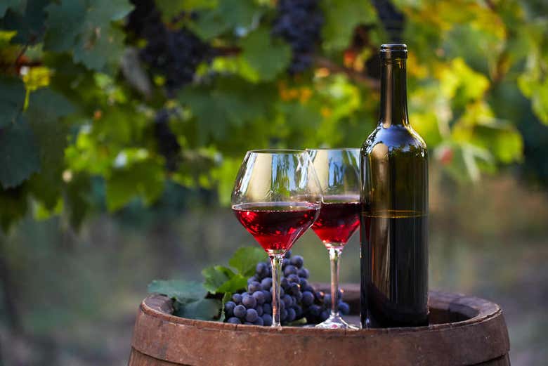 Dégustation de vin à Vienne
