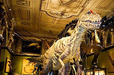 Museu de História Natural