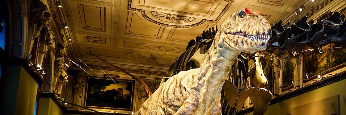 Vienna Natural History Museum