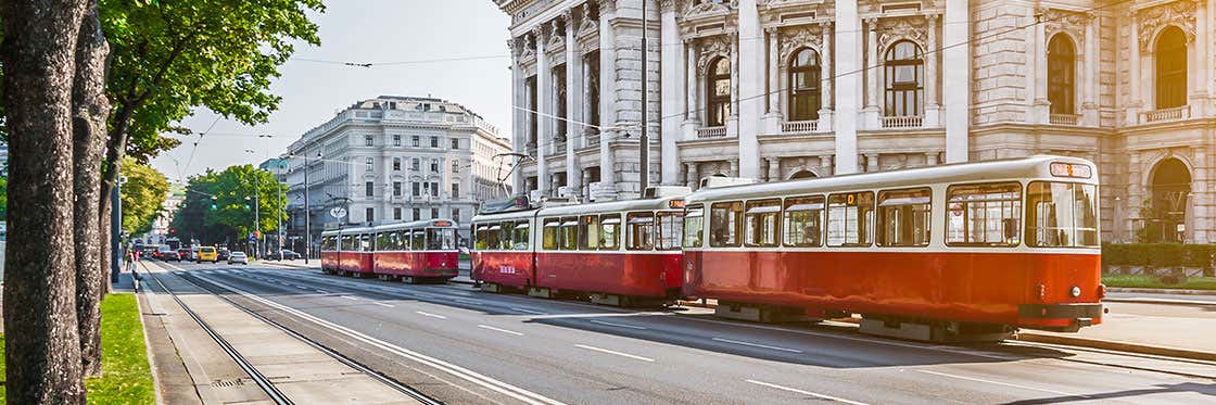 Trasporto a Vienna