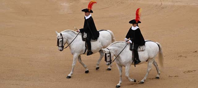Spanish Riding School Guided Tour