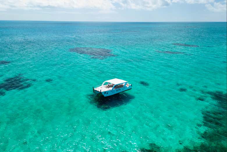 El barco en el que viajaremos