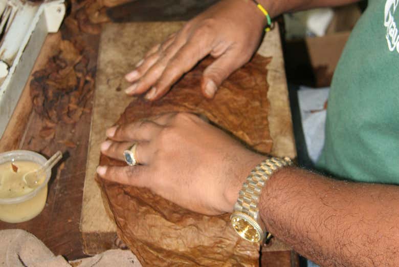 Learn about the selection process of the leaves