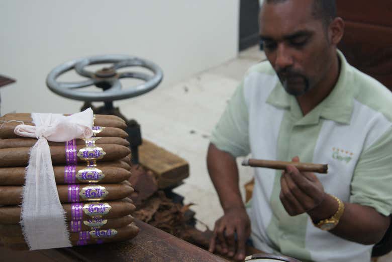 Tasting a cigar