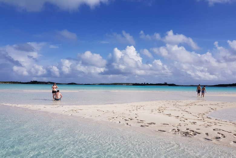 Profitez de Rose Island