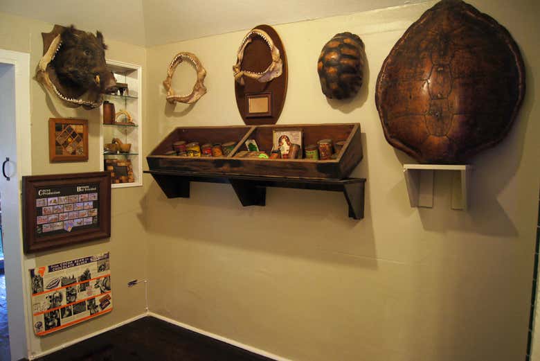 Alcuni degli oggetti da esposizione del museo