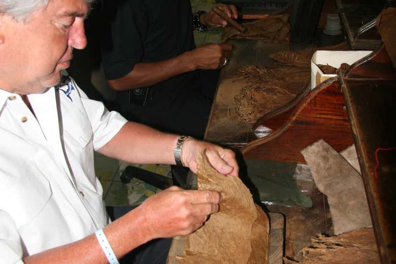 See the skill involved in rolling the cigars