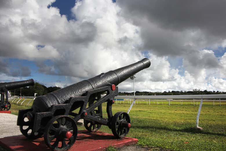 Zona de los cañones en la Garrison Savannah