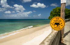 Visite guidée dans Speightstown