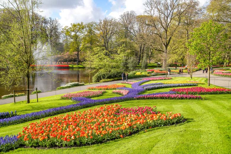 Jardin du parc Keukenhof