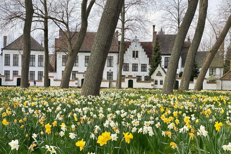 Béguinage de Bruges