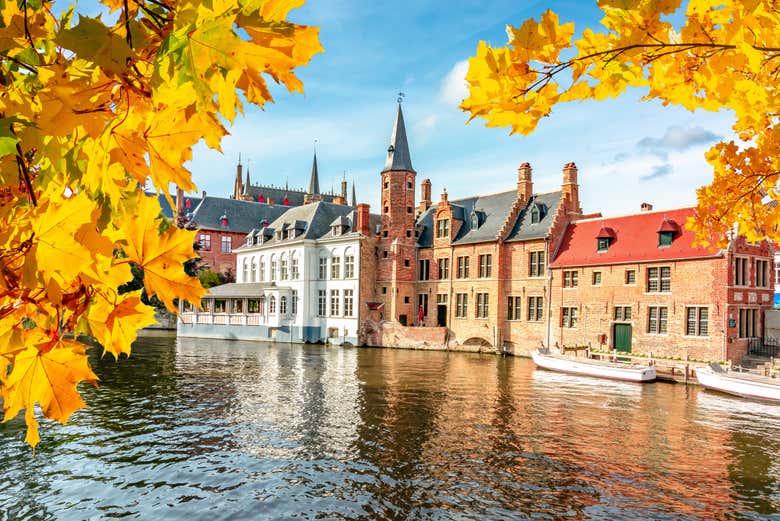 Bruges Bike Tour photo