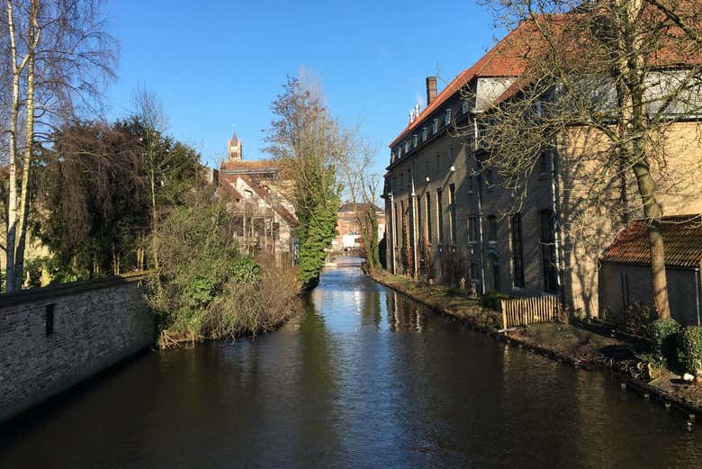 Canals of Bruges