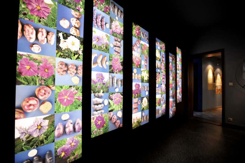 Visita al Frietmuseum di Bruges