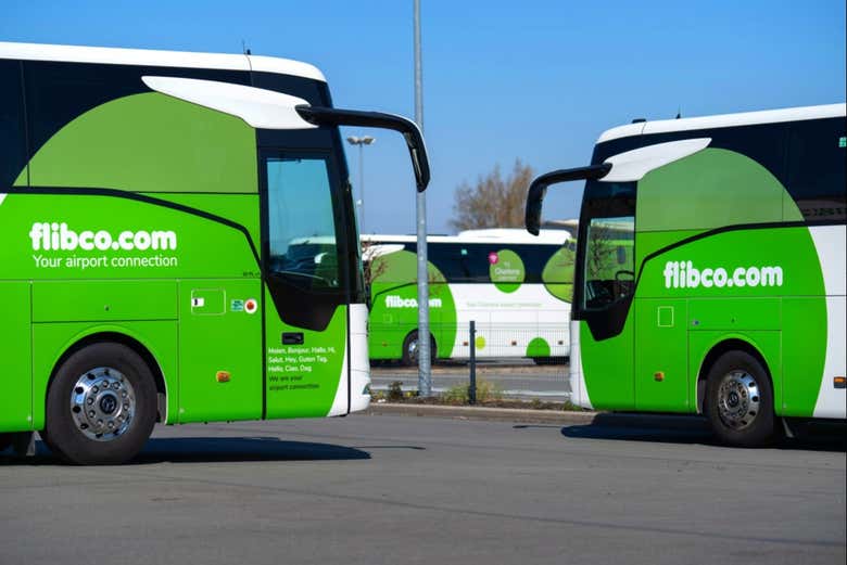 Autobuses listos para el traslado desde Charleroi a Brujas
