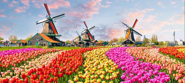 Keukenhof & Delft Day Trip
