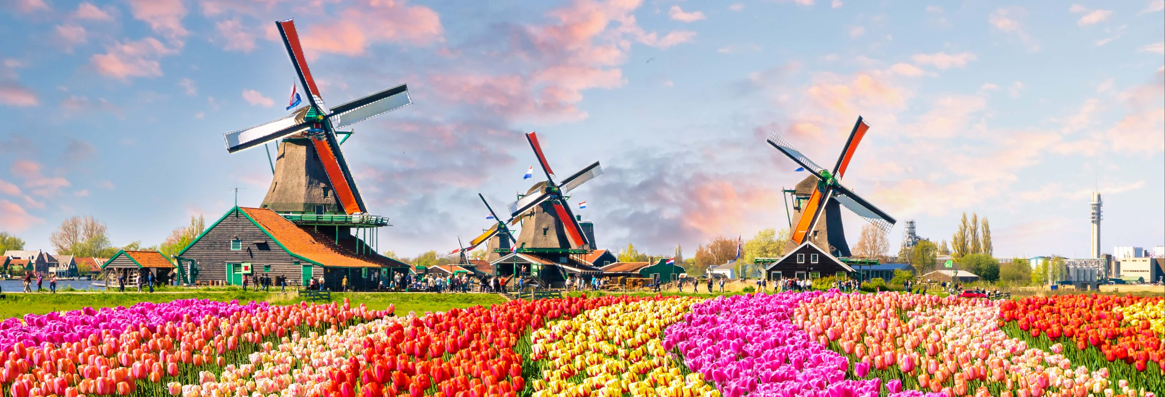 Excursiones a Desde-Bruselas