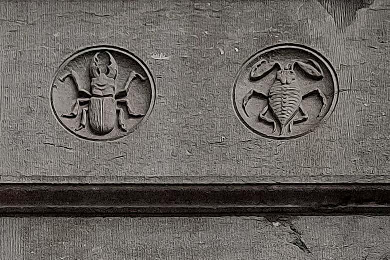 Descobrindo muitas curiosidades do Art Nouveau