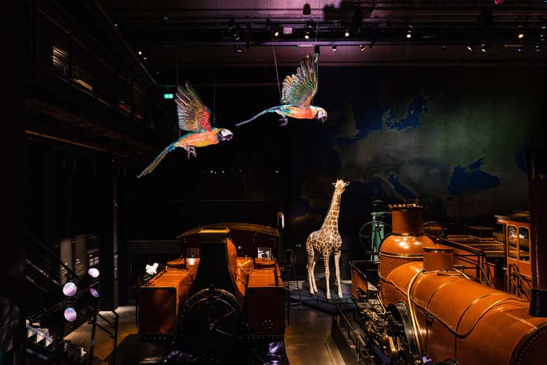 Ticket with access to the Animalia exhibition