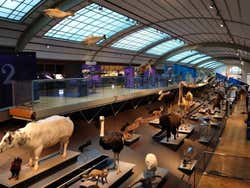 Museum of Natural Sciences