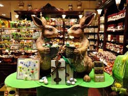 Chocolate shop